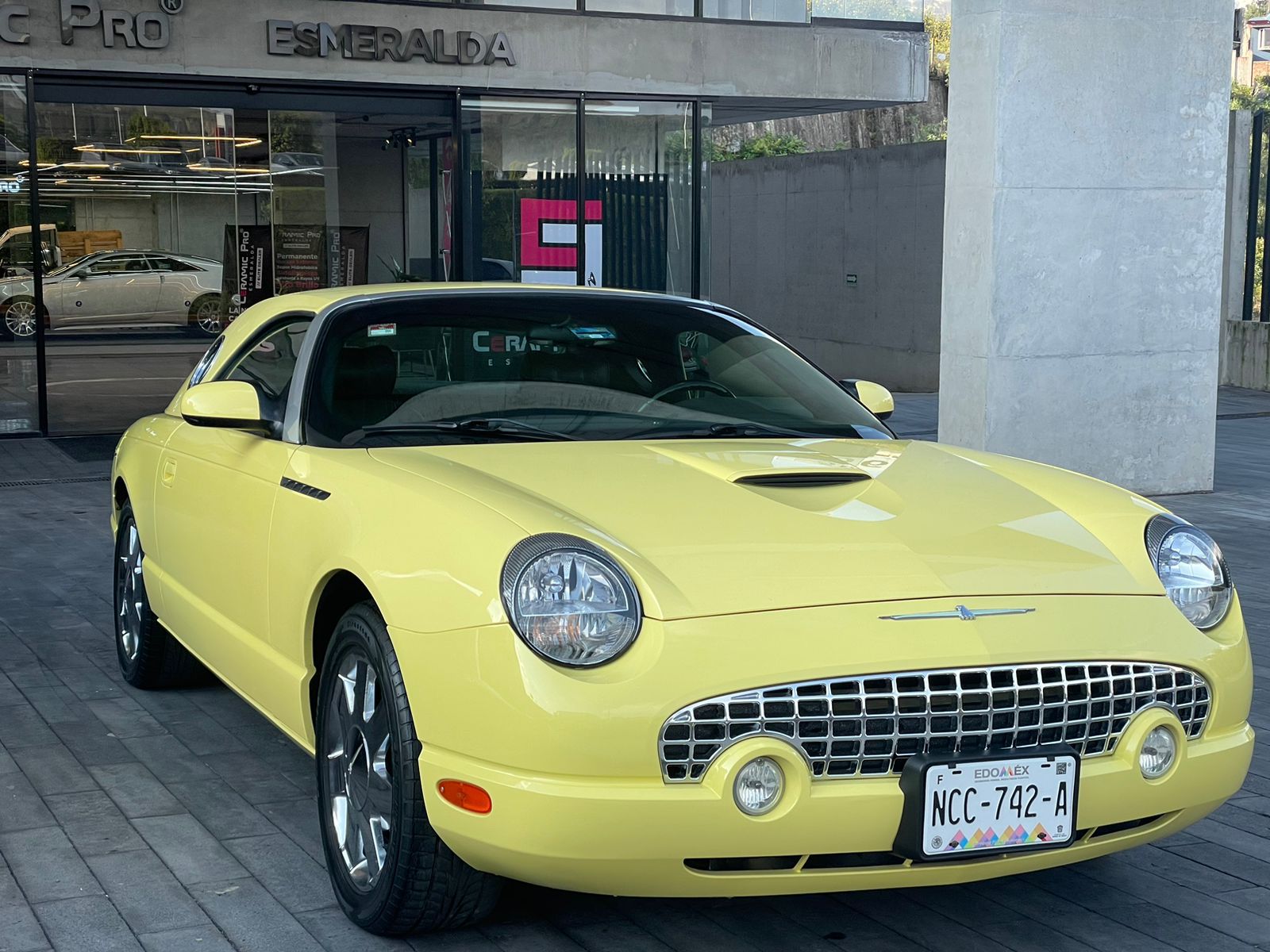 Thunderbird - View 1